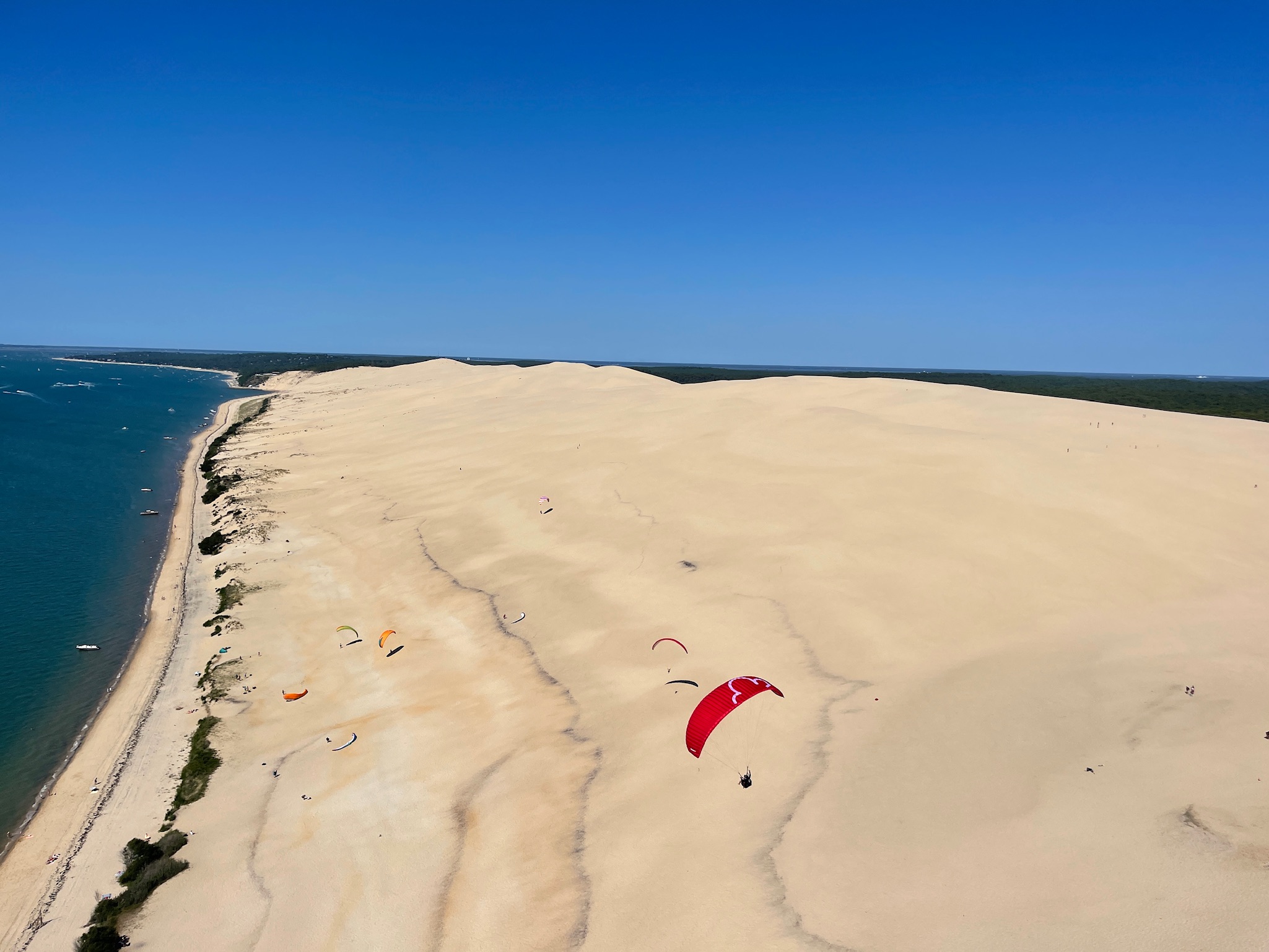 Vue de la dune du Pilat et des parapentistes en train de voler.